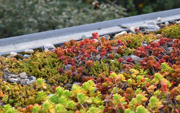 the cost of Lostock Junction green roof installation