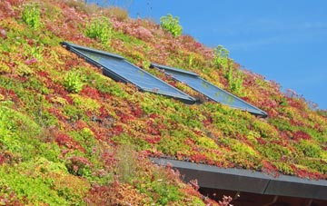 Lostock Junction living roof systems